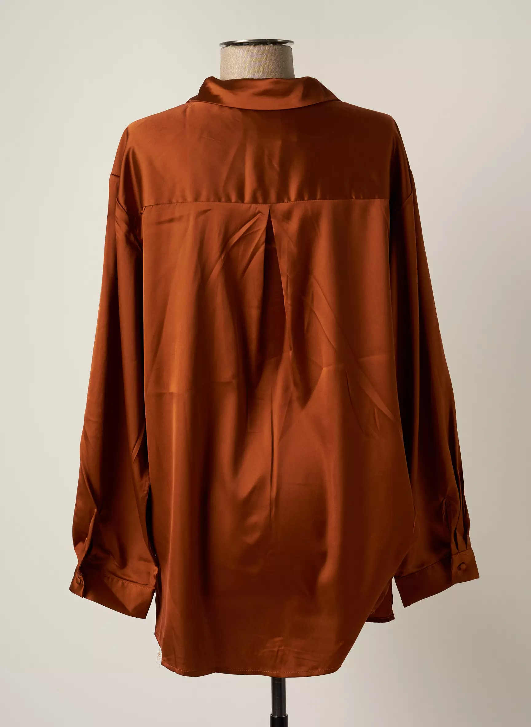 Nougat Chemisiers Femme couleur marron