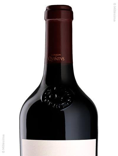 Dragon de Quintus 2018