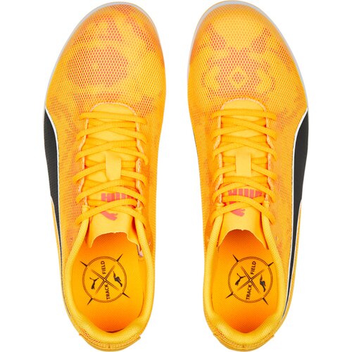 KINDER LEICHTATHLETIKSCHUHE EVOSPEED STAR 8 JUNIOR
