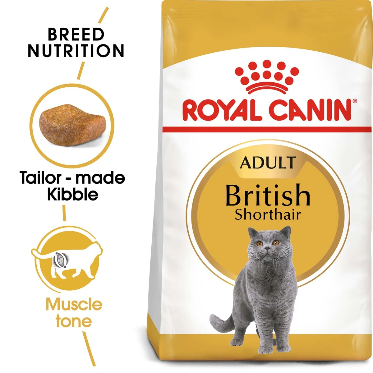 Royal Canin British Shorthair Katzenfutter kaufen