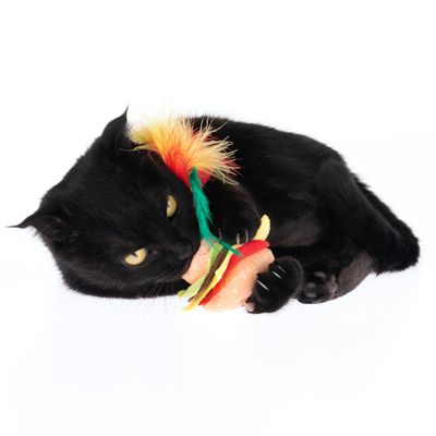 Katzenspielzeug Crinkle Burger mit Federn