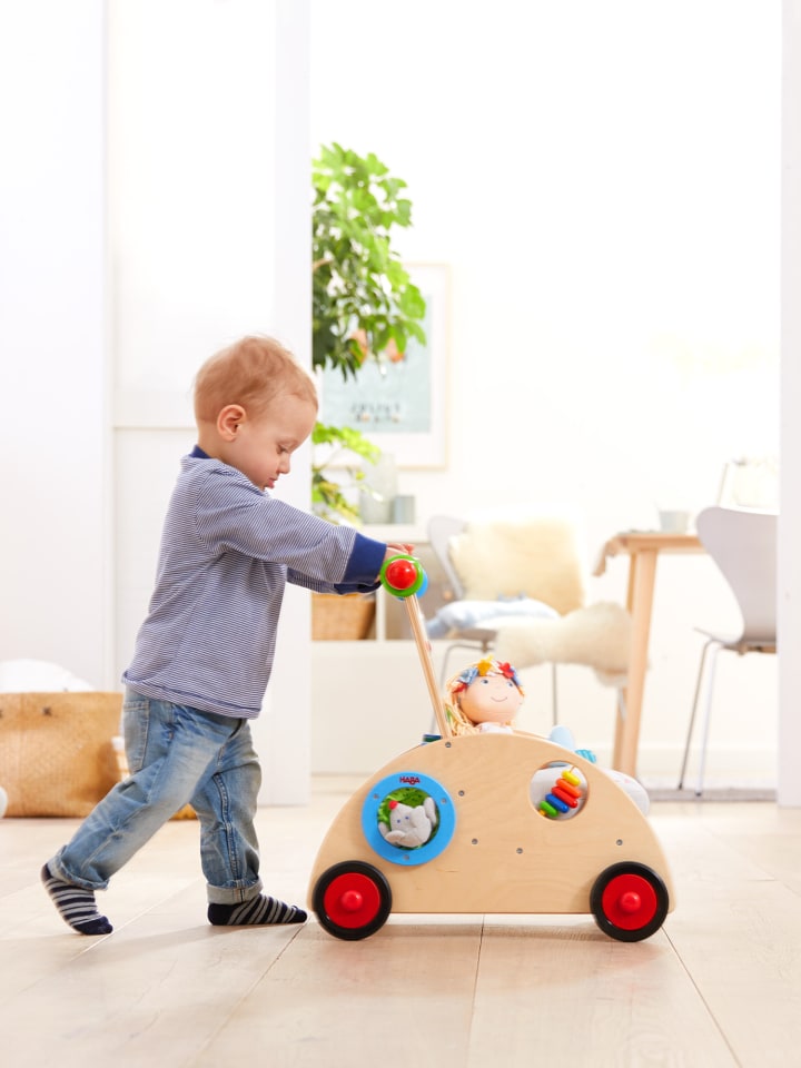 Haba Lauflernwagen Lauflernwagen in mehrfarbig günstig kaufen onesize