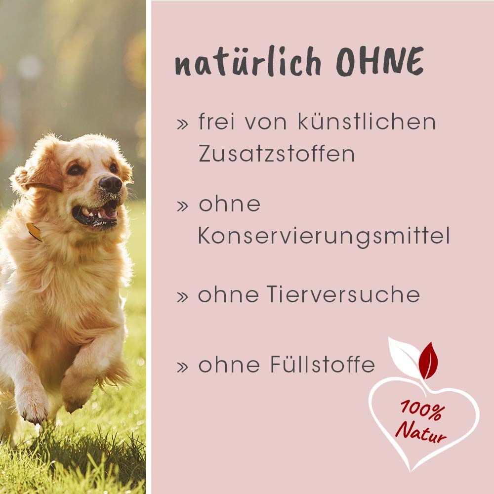 Fit-BARF Ergänzungsfutter & Aufzucht Fit-BARF VitalMix