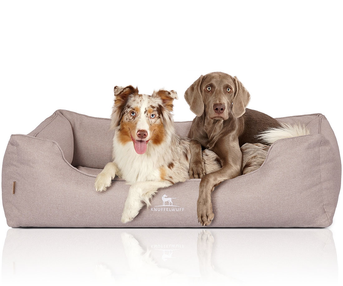 Knuffelwuff Hundebetten Knuffelwuff Orthopädisches Hundebett Luisa aus Velours mit feinem Handwebcharakter Sunshine Edition beige XXL