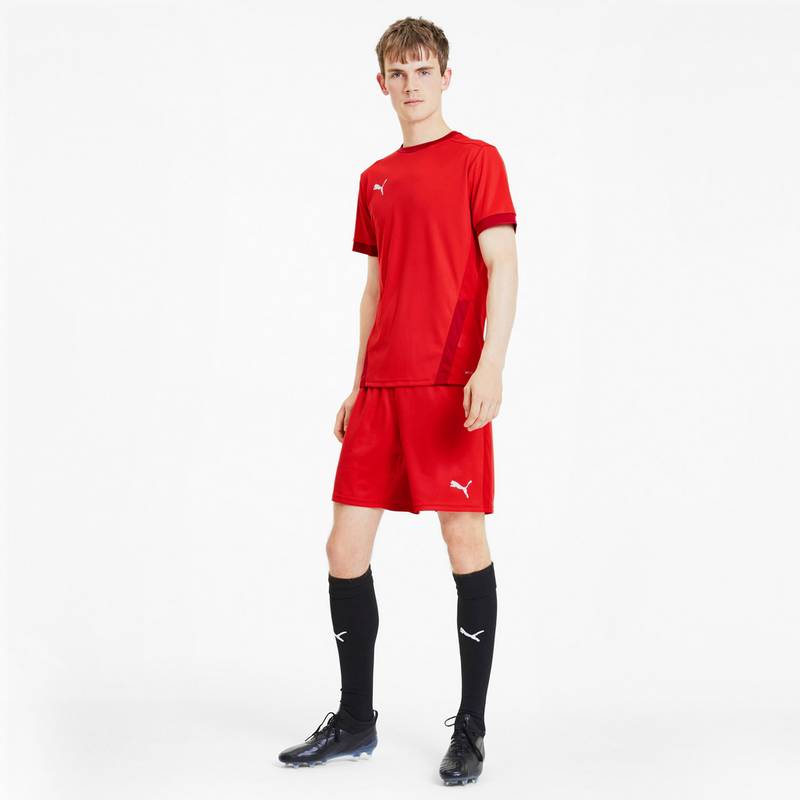 PUMA teamGOAL 23 Funktionsshirt Herren