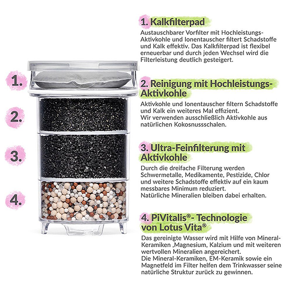 Lotus Vita Wasserfilter Filterkartuschen Jahres-Paket für Filterkannen Natura Plus