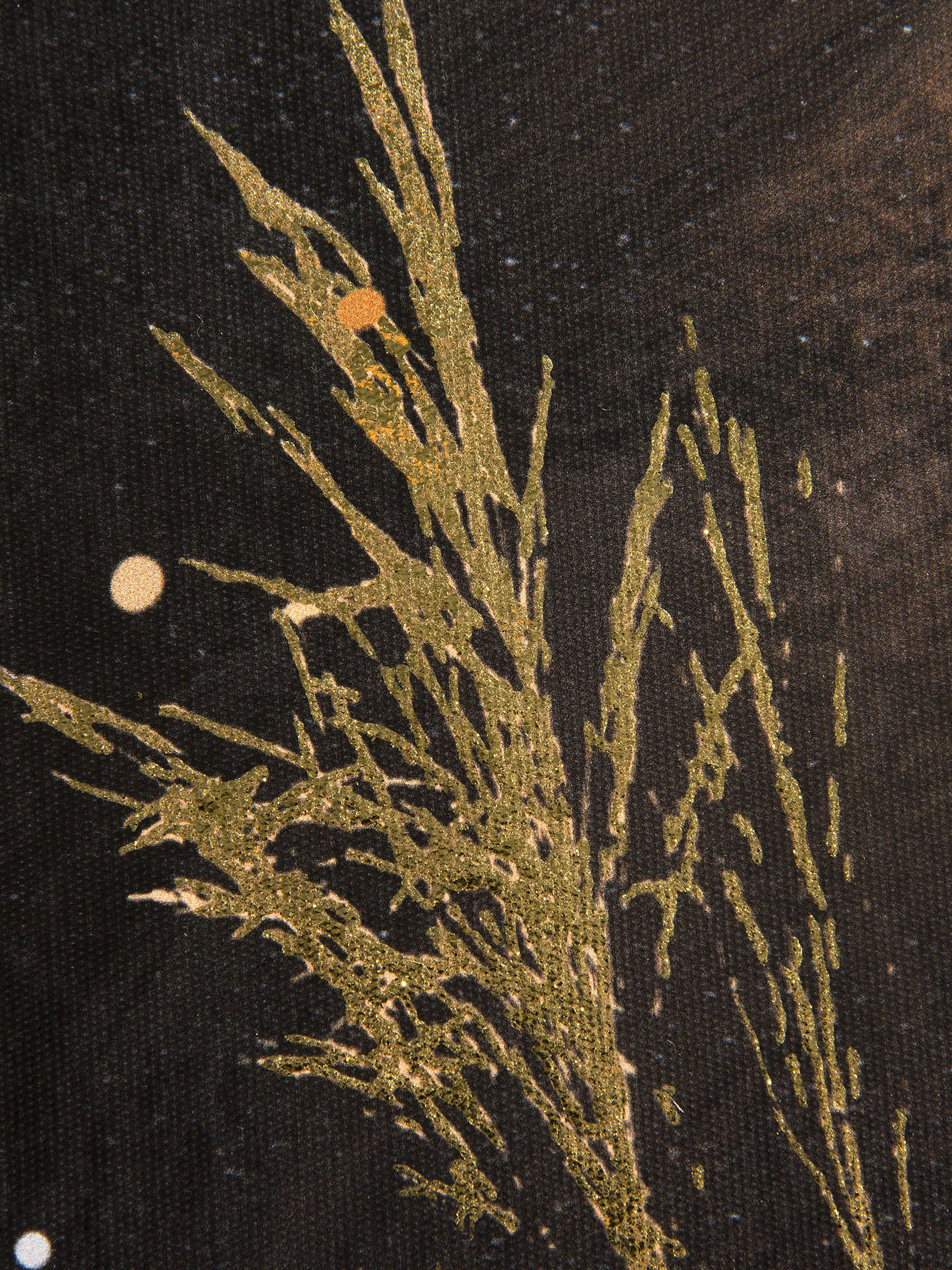 Löwe im Gras Leinwand Druck, Braun