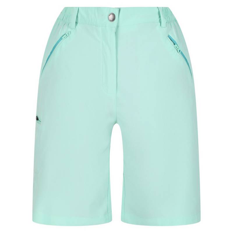 Regatta Xert It Shorts Damen
