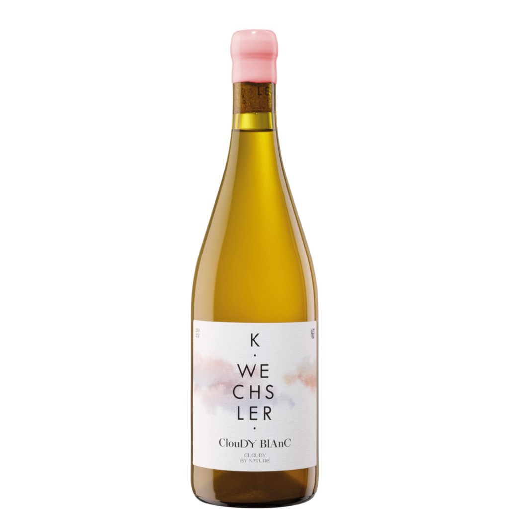 2022 Cloudy blanc unfiltered trocken - BIO