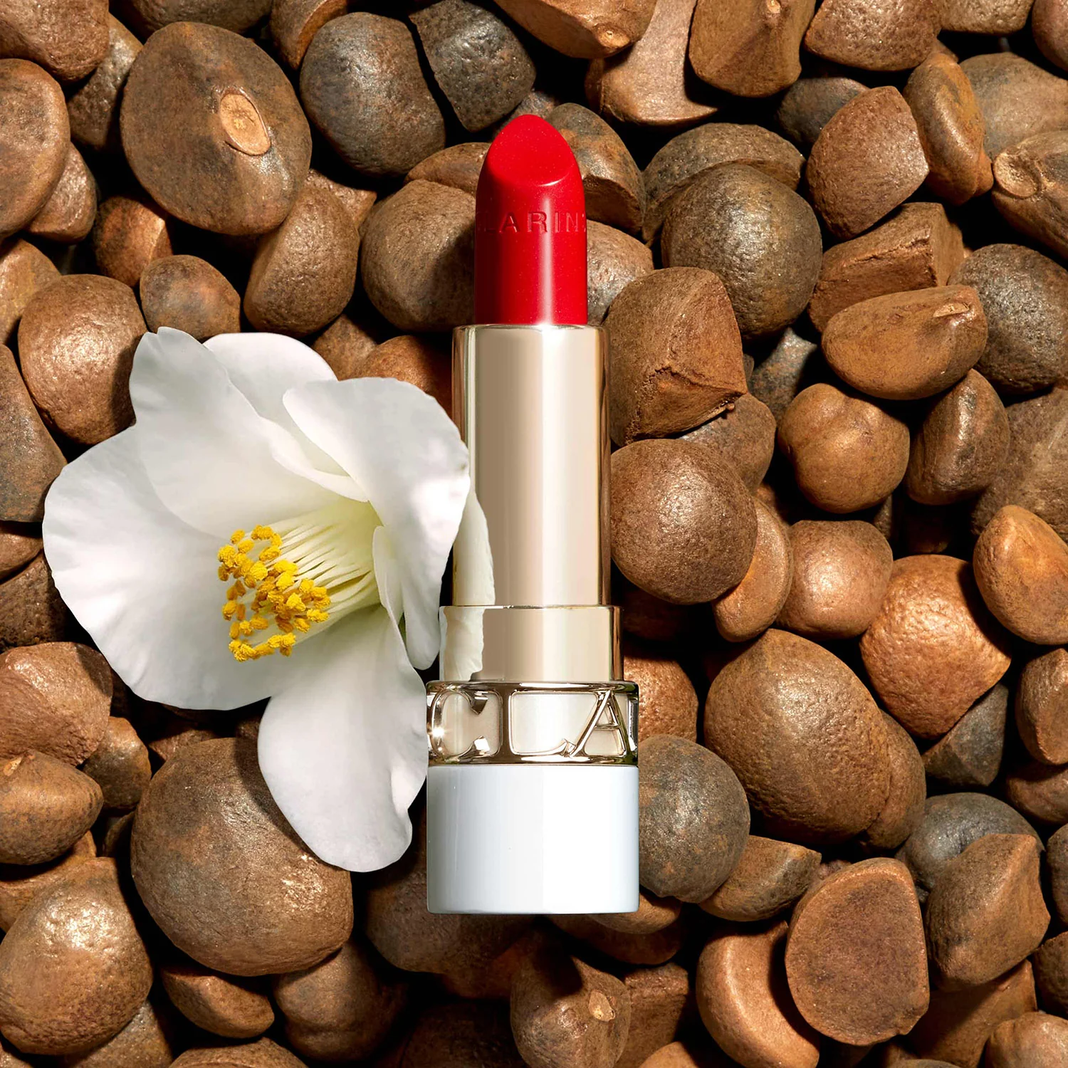 Labios brillantes Joli Rouge - Lápiz labial brillante, Lápiz labial