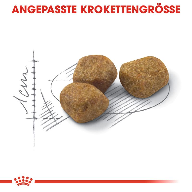 Royal Canin Indoor 7+ zu TOP-Preisen