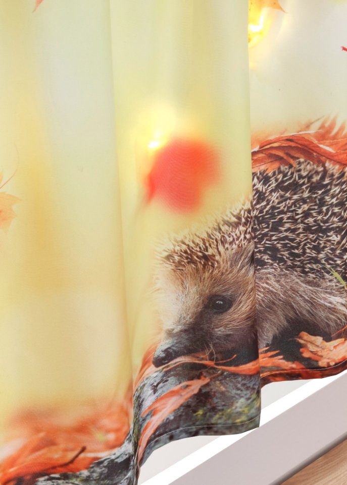 LED Scheibengardine mit Igel Druck
