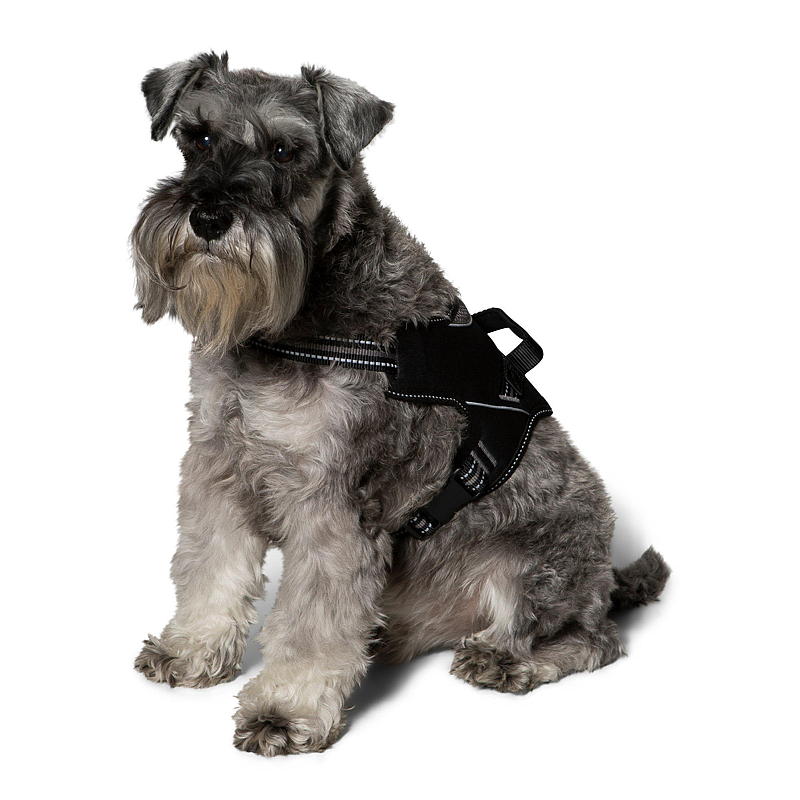 Zoozaker Hundesele 35 cm, m/håndtak