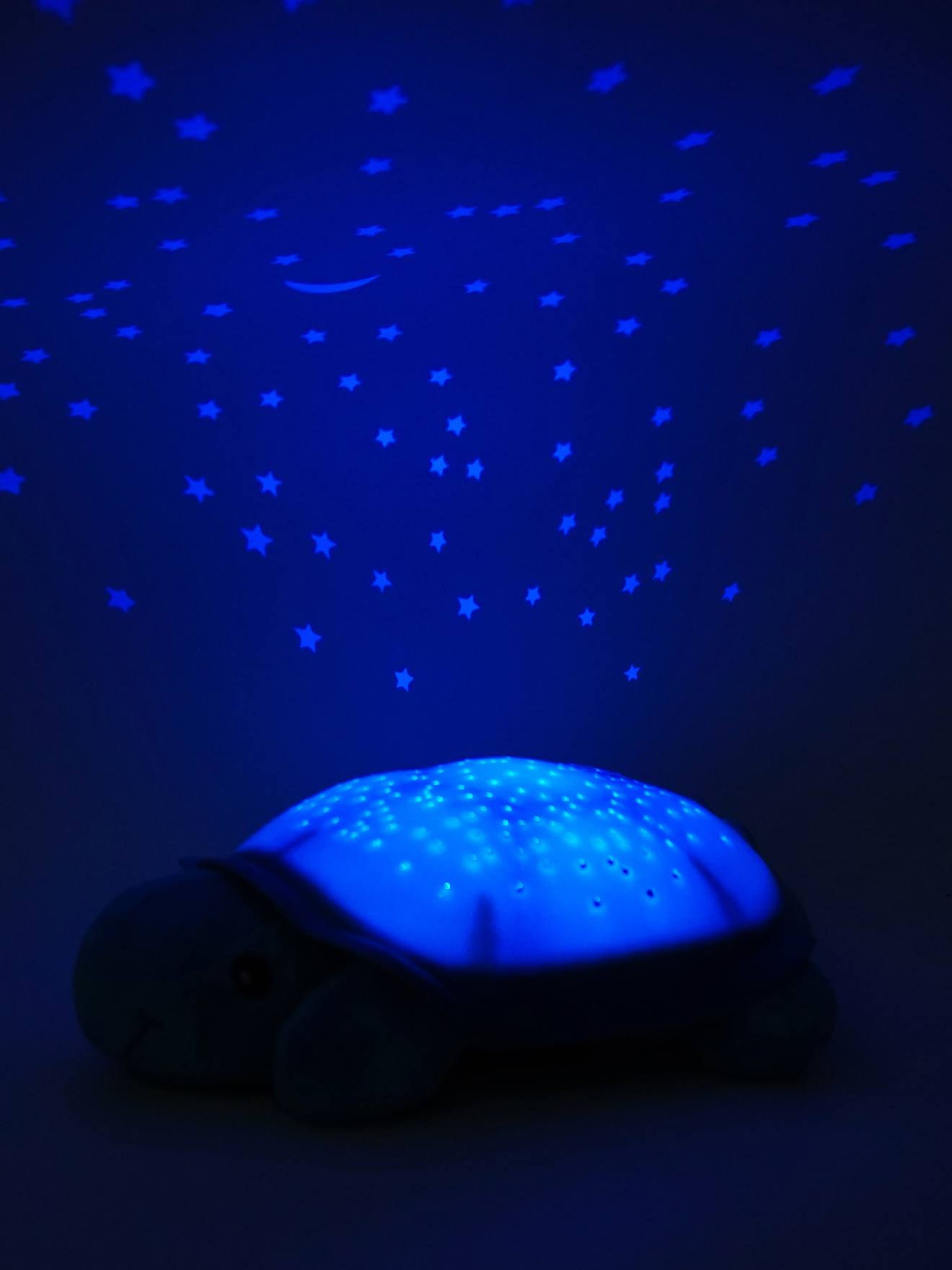 Veilleuse projecteur d’étoiles CLOUD B Twilight turtle (tortue bleue)