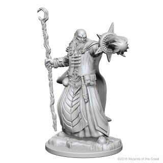 Human Male Wizard: D&D Nolzurs Marvelous Unpainted Minis