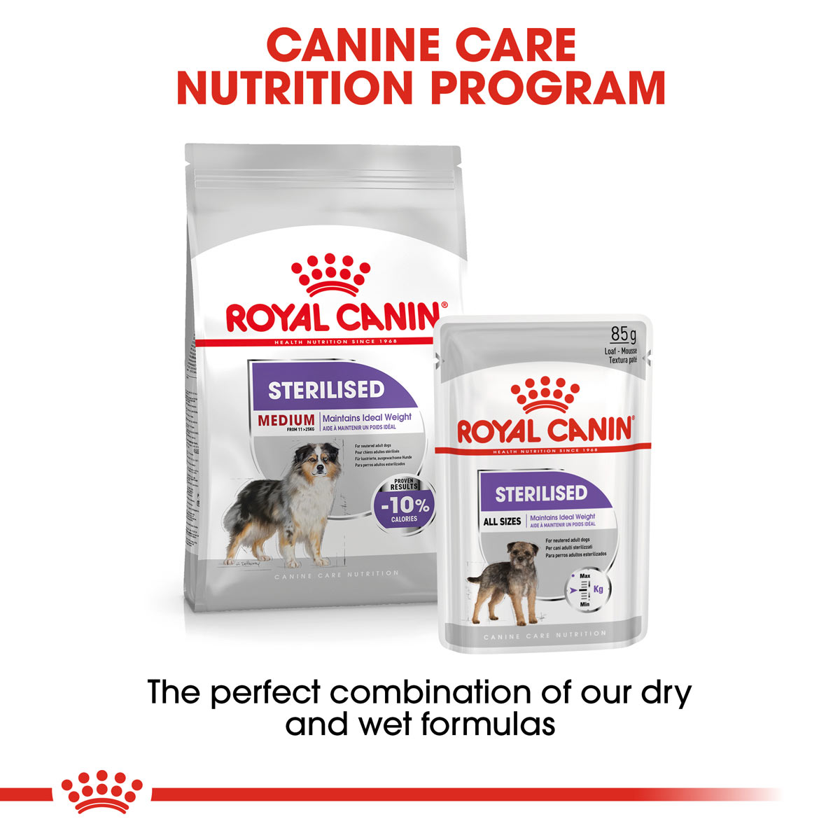 ROYAL CANIN STERILISED MEDIUM Trockenfutter für kastrierte mittelgroße Hunde