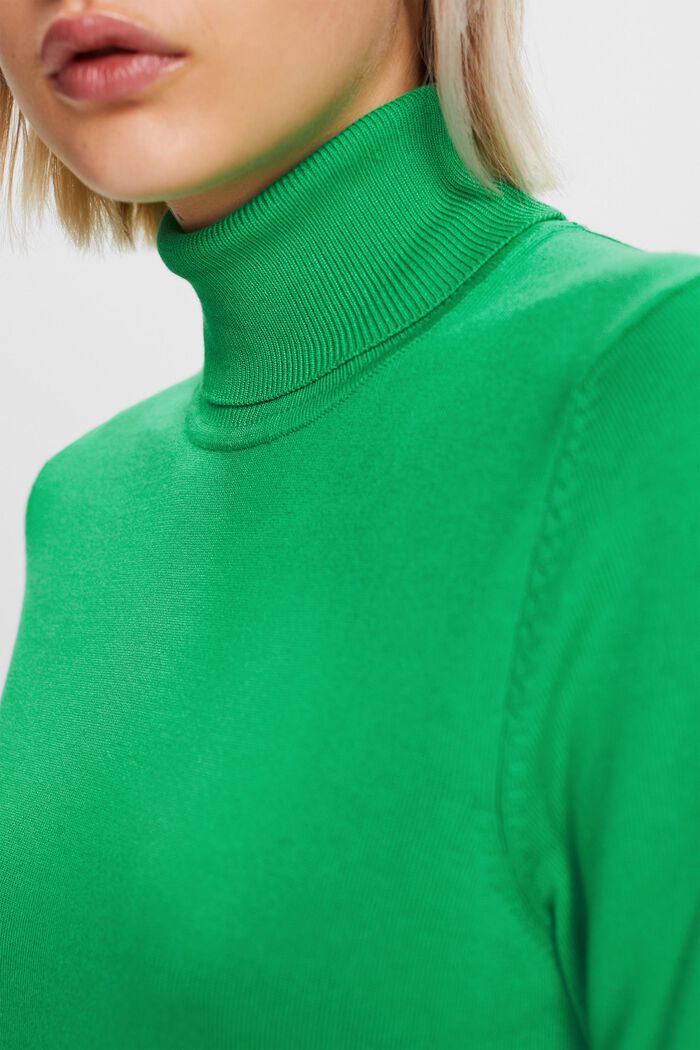 Langärmeliger Rollkragenpullover