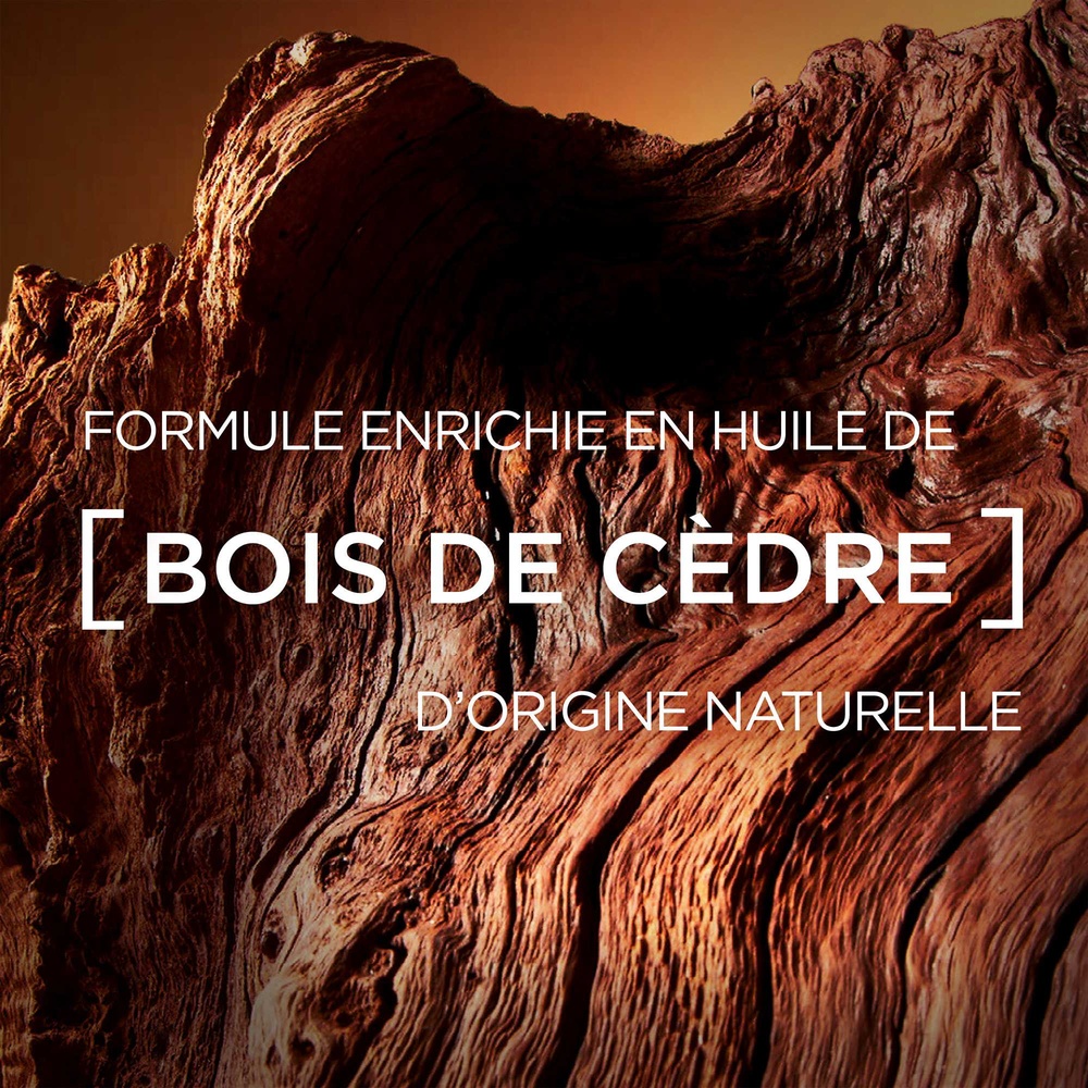 L'Oréal Paris BARBERCLUB Déodorant Bille Homme