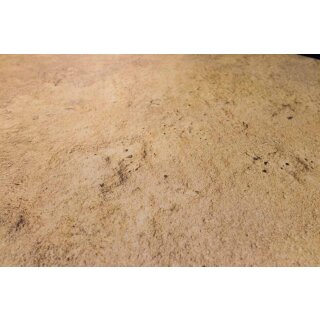 Desert Plain 6x4 Gaming Mat2.0