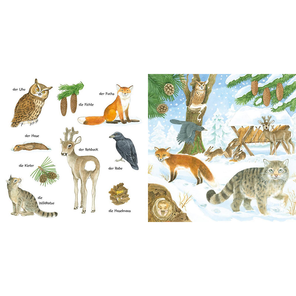Mein kleines buntes Bildwörterbuch: Im Wald