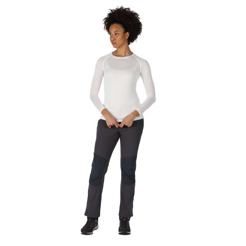 Regatta Questra IV Wanderhose Damen