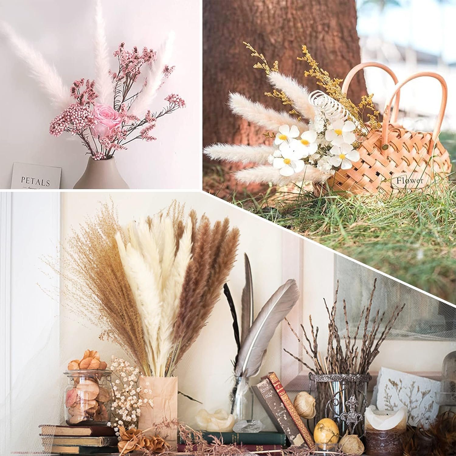Trockenblume Pampasgras Getrocknet,75 Stück Natürliche Trockenblumen Pampasgras Pampasgras Trockenblumen, Mutoy, Höhe 45 cm, Flauschige Trockenblumen Deko-Blumen Boho-Stil für Heim Decor