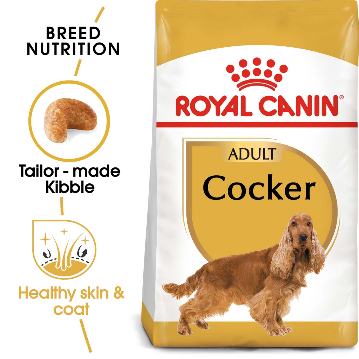 ROYAL CANIN Cocker Adult Hundefutter trocken kaufen bei ZooRoyal