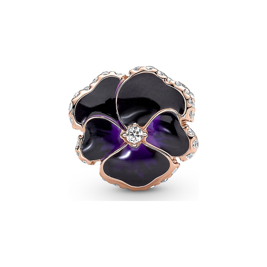 Pandora Charm Moments
