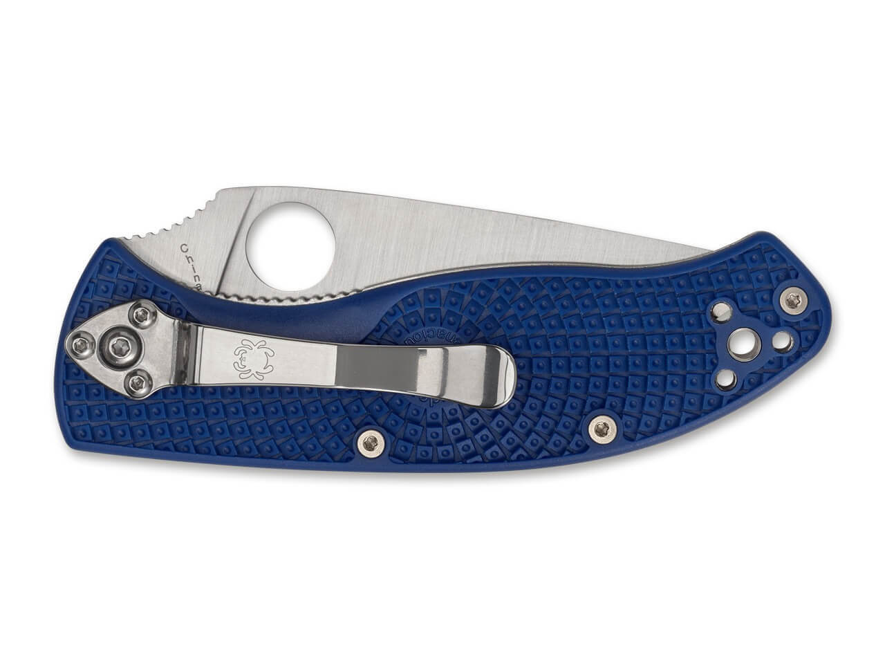 Tenacious Blue