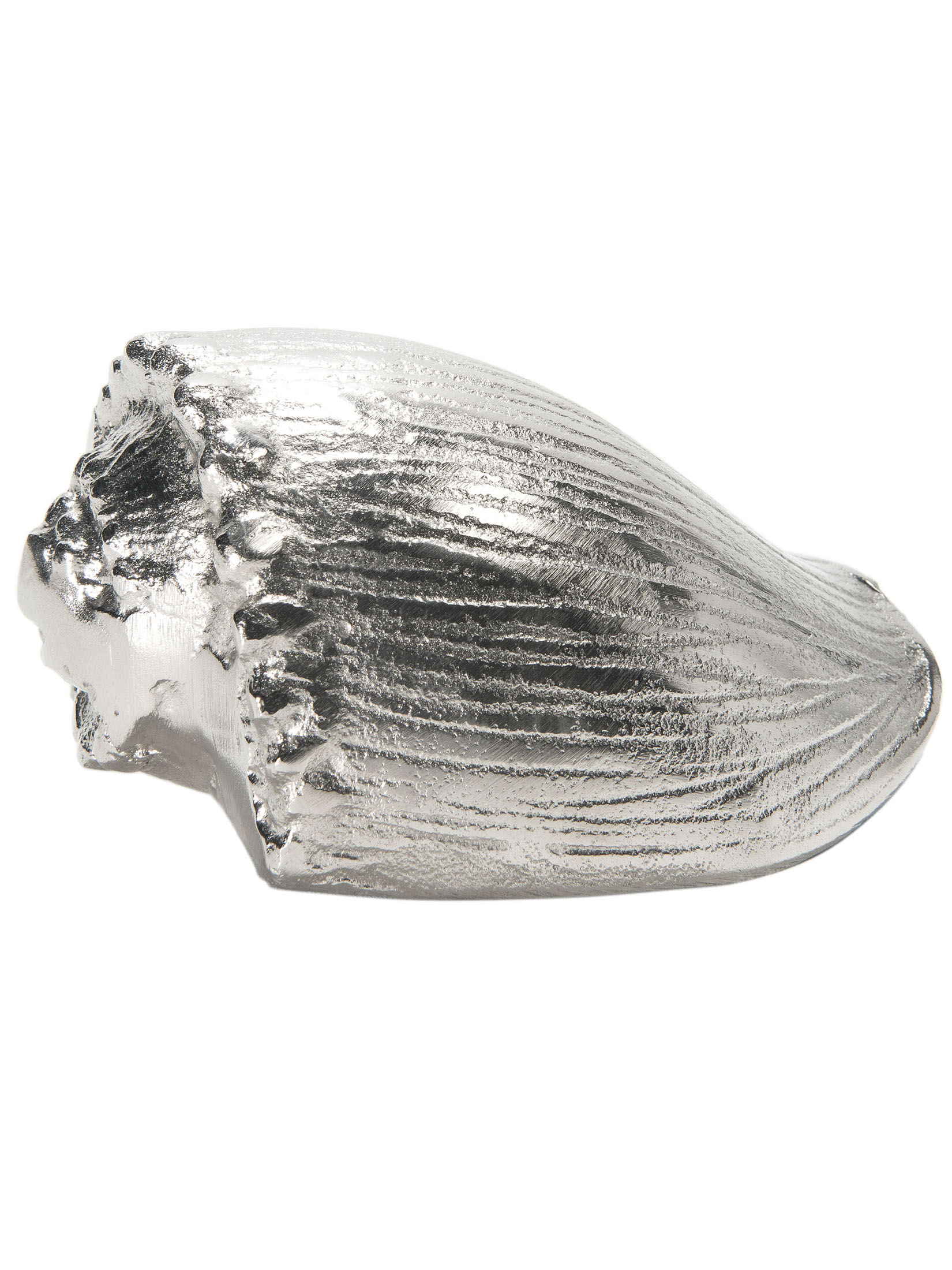 Seashell Objekt, Silber
