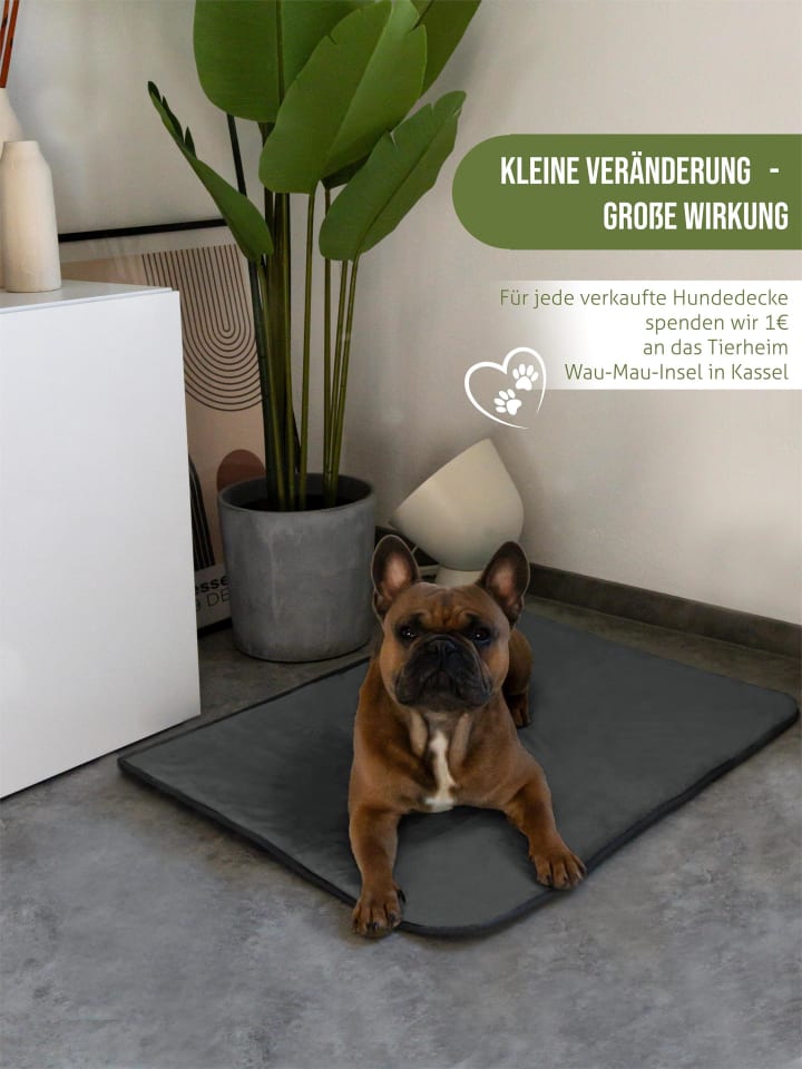 Aspero Hundedecke Lund in Anthrazit günstig kaufen