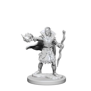 Elf Male Sorcerer: Pathfinder Deep Cuts Unpainted Minis