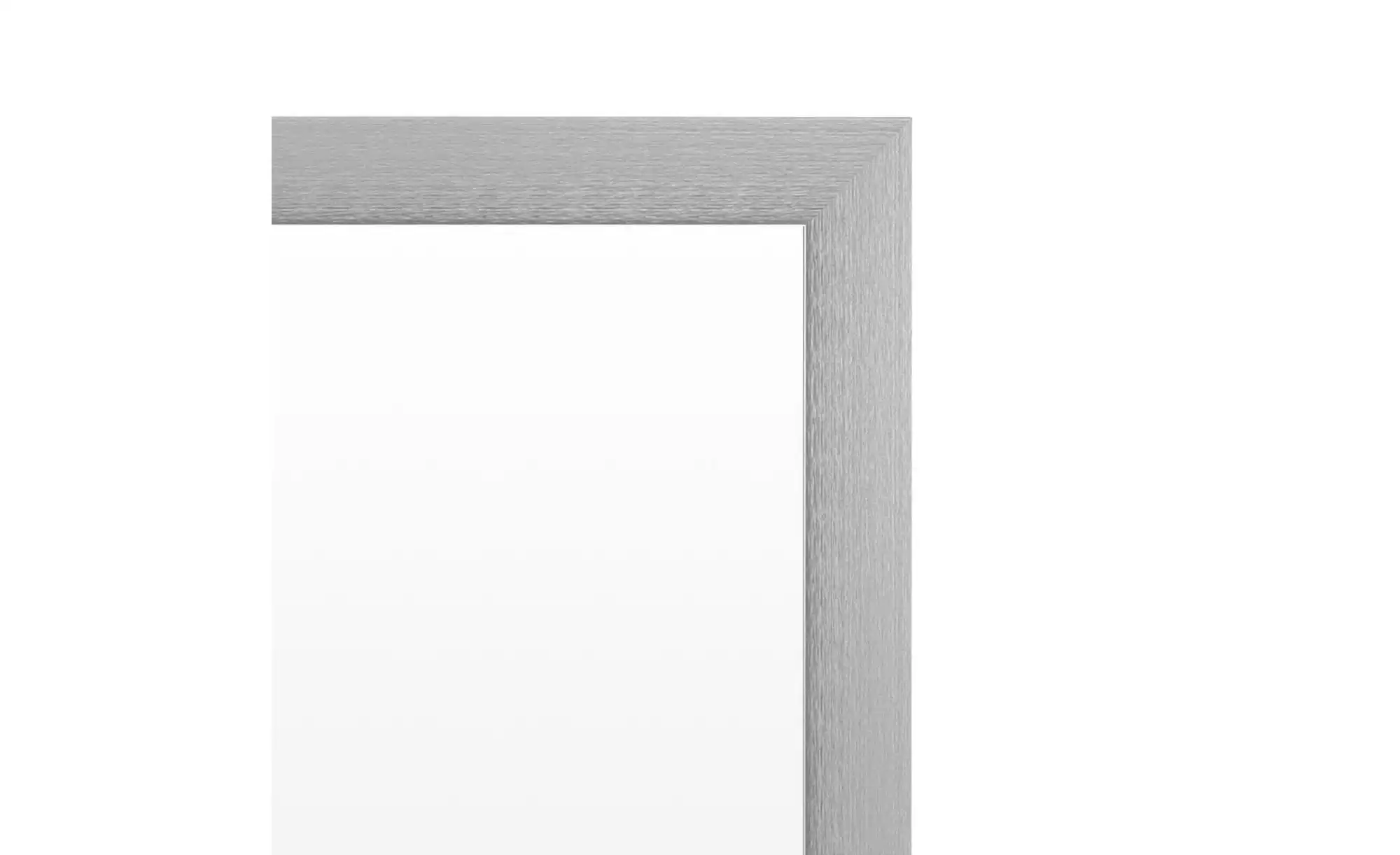 Spiegel 47 x 147 cm