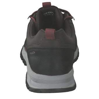 Geox U Delray B ABX Sneaker in braun