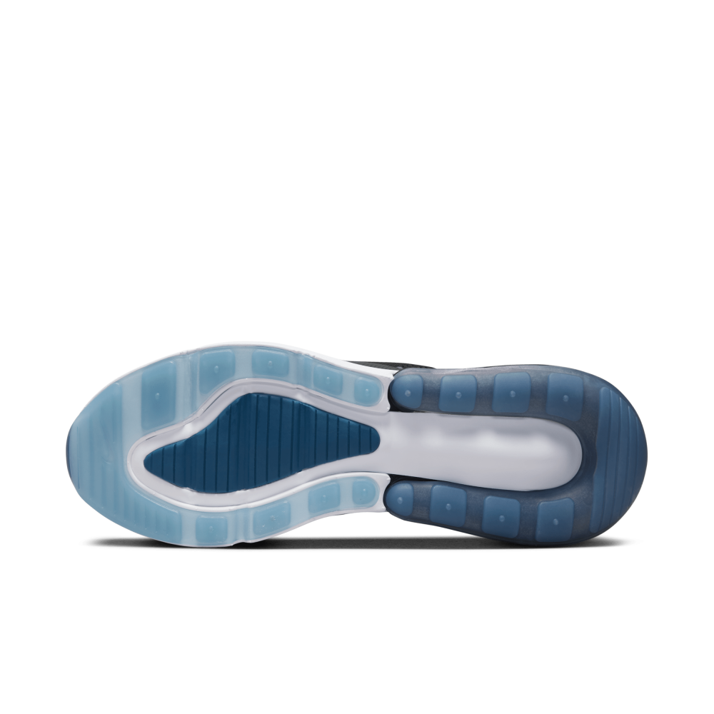 Nike Air Max 270 FV0380-001 / grau