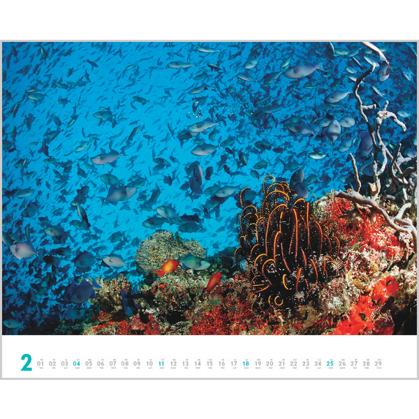DIVE 2024 - Kalender