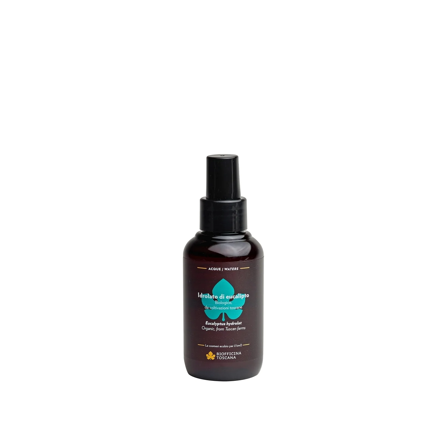 Aguas hidroladas de eucalipto: agua aromática, tónico facial, spray para el cabello.
