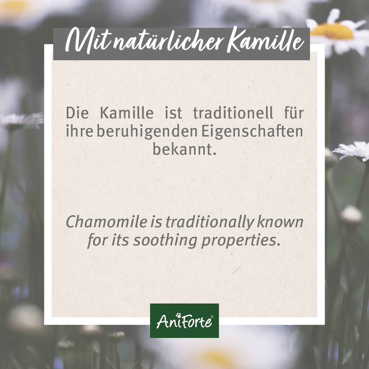 Aniforte Augen- & Ohrenpflege Aniforte VET Ohrenreiniger Kamille 250ml