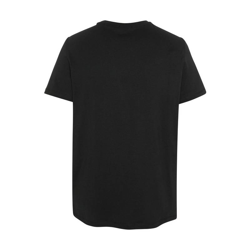 Chiemsee T-Shirt T-Shirt Herren
