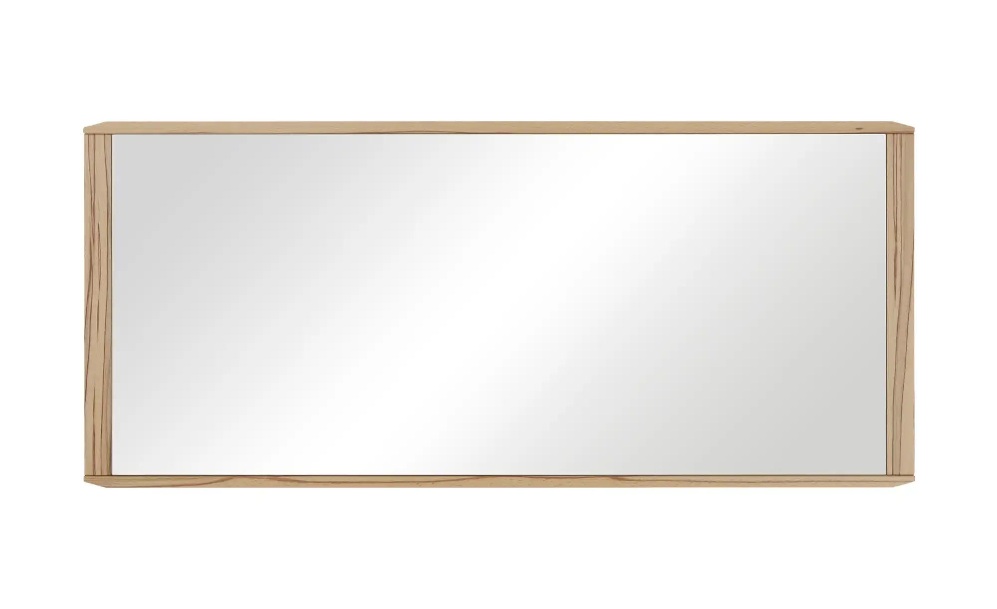 Spiegel 117,5 x 52 cm