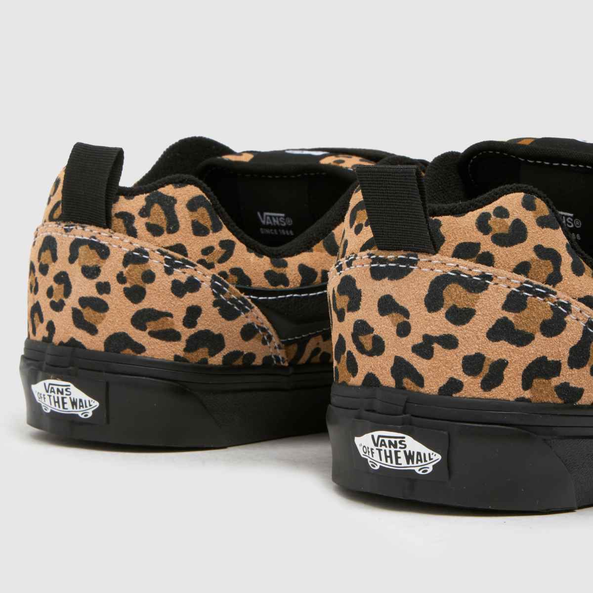 Vans barnskola i tryck