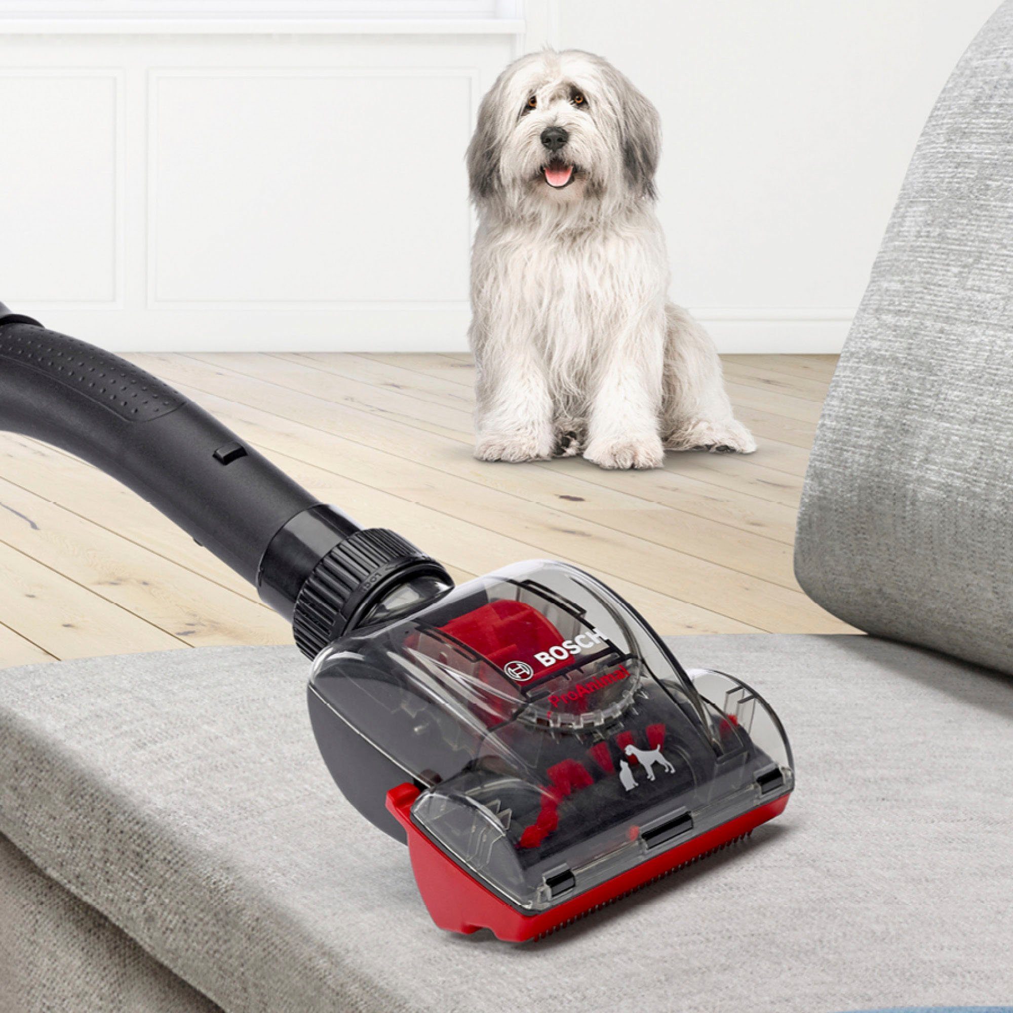 BOSCH Bodenstaubsauger BGC41PET, Ideal für Haustierbesitzer, 750 W, beutellos, inkl. umfangreichen Zubehör und AirTurbo Plus Düse