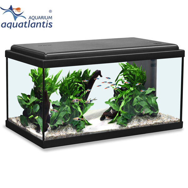 Aquatlantis Aquarium Advance LED 60 günstig kaufen
