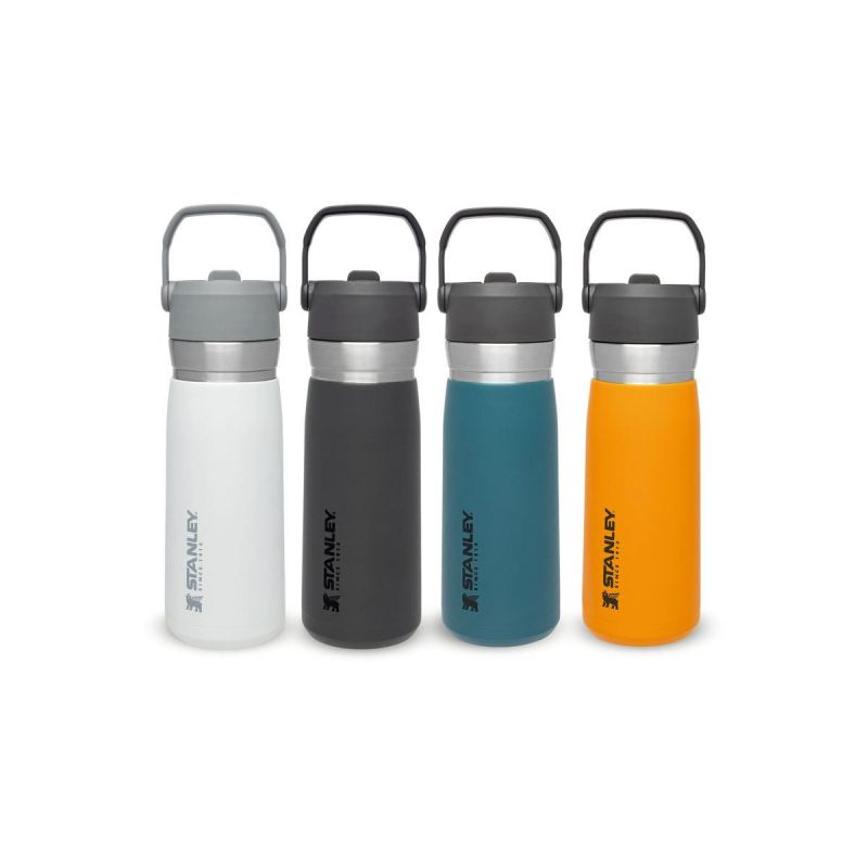 Thermoflasche Stanley, Go Iceflow Flip Straw Water Bottle 22oz \/ 650ml  Polar