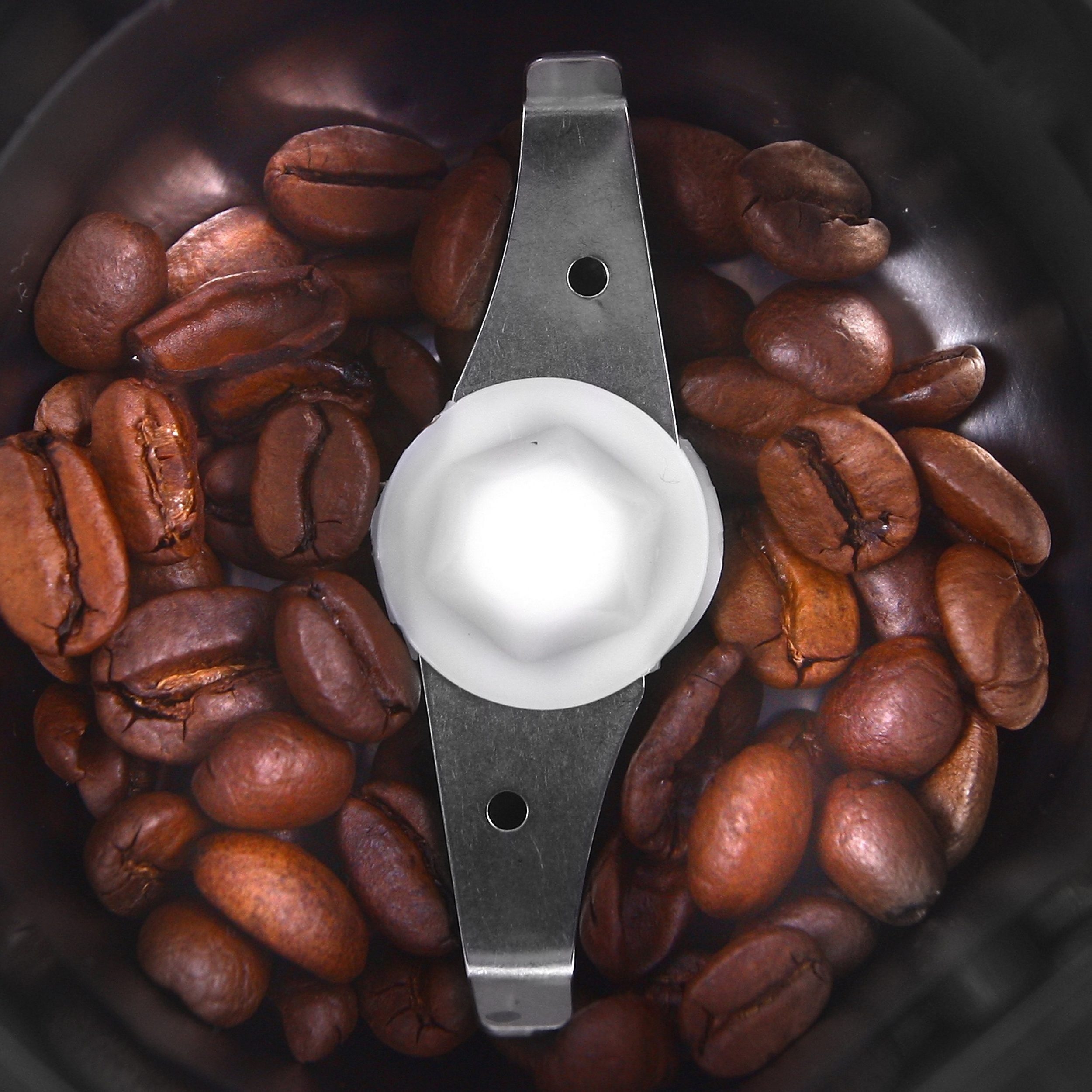JUNG Kaffeemühle AD443 elektrische Universalmühle 2in1 Edelstahl Mühle Zerkleinerer, 150,00 W, Kegelmahlwerk, 70,00 g Bohnenbehälter, Grinder Universalzerkleinerer Zerkleinerer Kaffeemühle Mühle Chopper