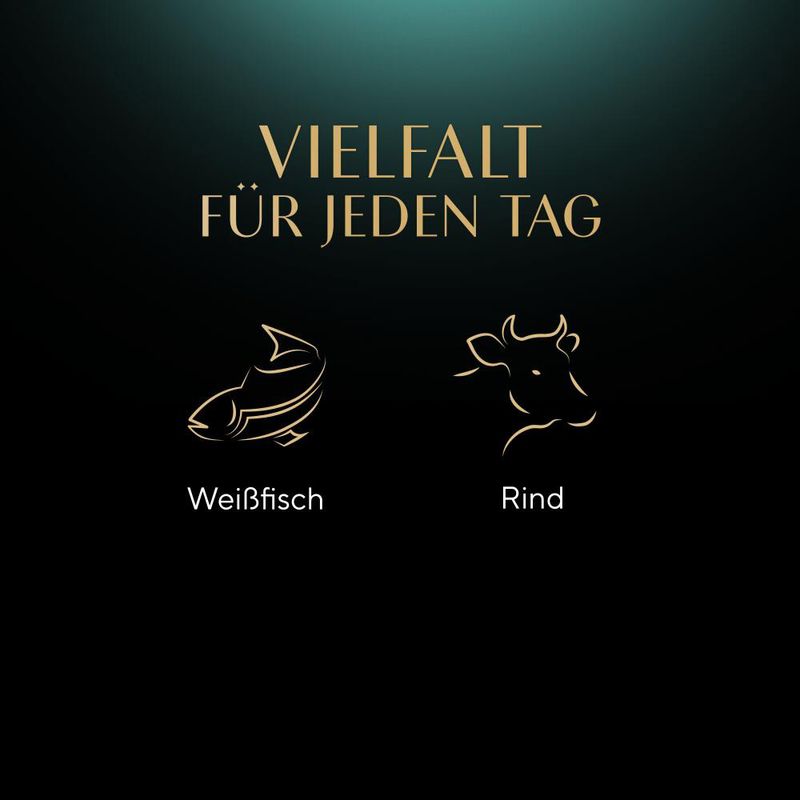 Sheba Fresh Cuisine Taste of Paris Rind & Weißfisch
