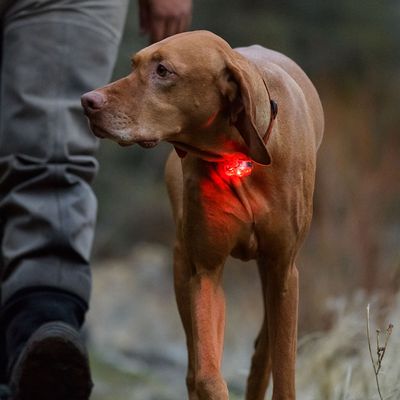 Ruffwear The Beacon™ Safety Light