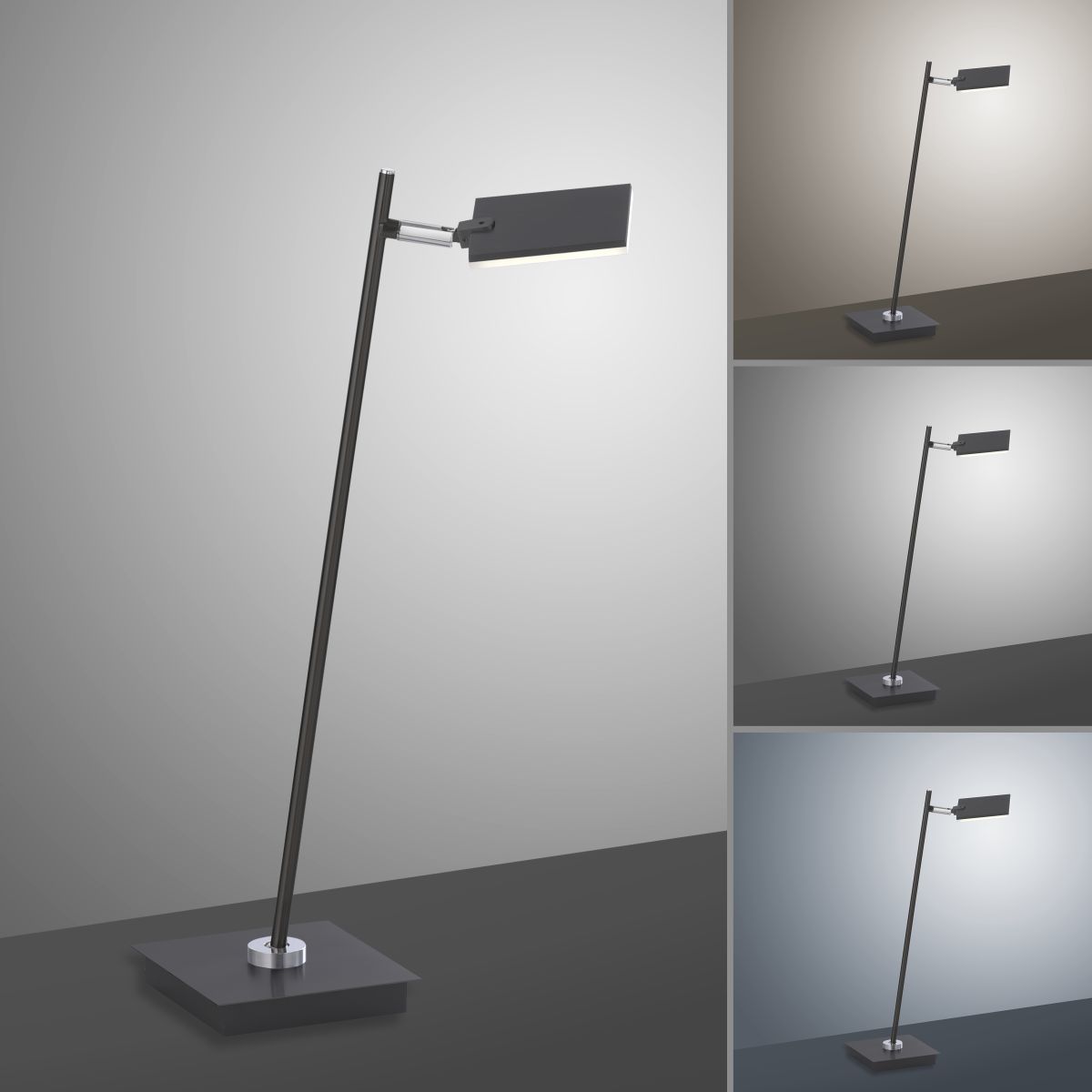 Paul Neuhaus 1-flg LED Tischleuchte Pure-Mira schwarz