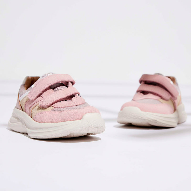 pan v rose - Rose