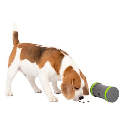 PetSafe Kibble Chase Selbstbewegendes Belohnungsspielzeug